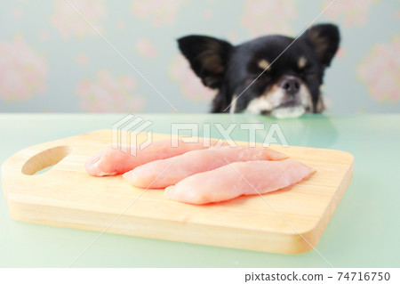 生雞肉胸肉和黑色吉娃娃在砧板上 生雞肉胸肉和黑色吉娃娃在砧板上 74716750