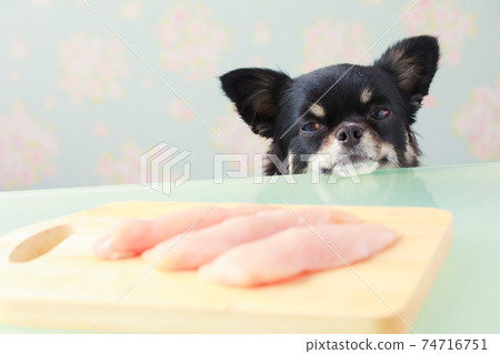 生雞肉胸肉和黑色吉娃娃在砧板上 生雞肉胸肉和黑色吉娃娃在砧板上 74716751