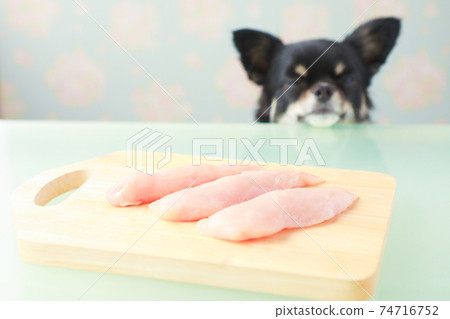 生雞肉胸肉和黑色吉娃娃在砧板上 74716752