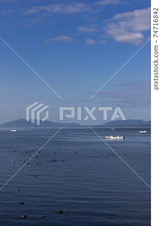 Lake Shinji and freshwater clam fishing in the early morning Matsue City, Shimane Prefecture Lake Shinji and freshwater clam fishing in the early morning Matsue City, Shimane Prefecture 74716842