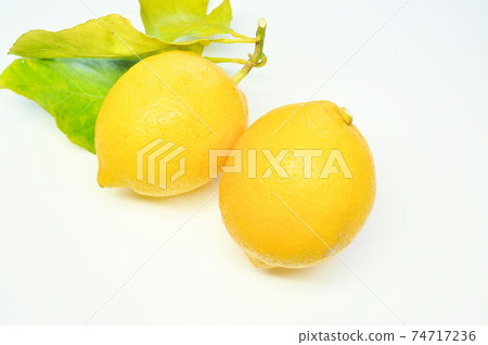 Setoda lemon Setoda lemon 74717236
