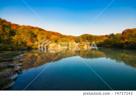 在秋天的黃昏染上的八甲田地獄美麗的秋葉 在秋天的黃昏染上的八甲田地獄美麗的秋葉 74717243