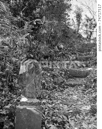 Sa玉縣和光市藤武神社 74717517