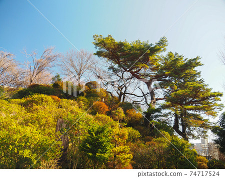 Sa玉縣和光市藤武神社 74717524