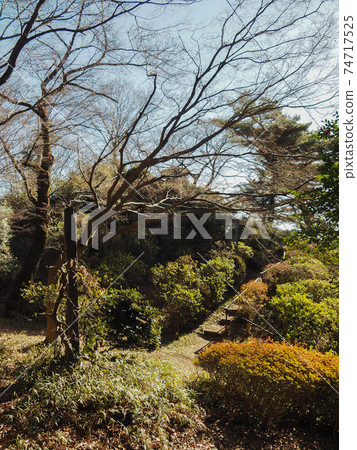 Sa玉縣和光市藤武神社 74717525