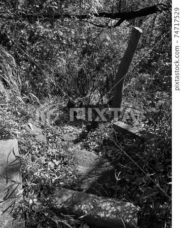 Fujitake Shrine, Wako City, Saitama Prefecture 74717529