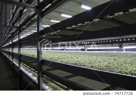 Drying the car using artificial lighting 74717726