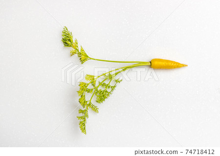 可愛美麗的新鮮胡蘿蔔照片 可愛美麗的新鮮胡蘿蔔照片 74718412
