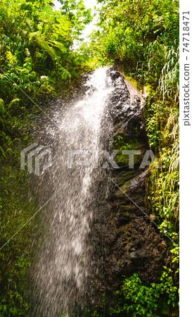 A waterfall at the Botanical Gardens in Saint Lucia 74718471