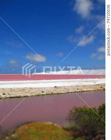 Bonnaire salt pan diorama style 74720036