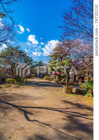 Furouen Garden and Plum Blossoms in Early Spring [Yamanashi Prefecture] 74720132
