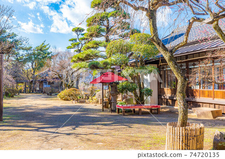 Furouen Garden and Plum Blossoms in Early Spring [Yamanashi Prefecture] 74720135
