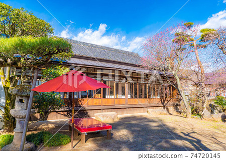 Furouen Garden and Plum Blossoms in Early Spring [Yamanashi Prefecture] 74720145