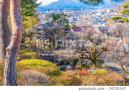 Furouen Garden and Plum Blossoms in Early Spring [Yamanashi Prefecture] 74720147