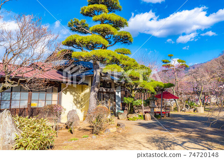 Furouen Garden and Plum Blossoms in Early Spring [Yamanashi Prefecture] 74720148