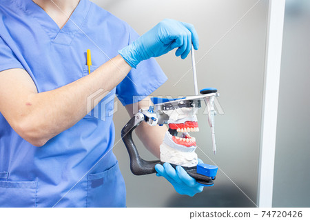 The dentist holds a dental articulator in his hands for the correct bite. 74720426