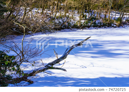 Frozen white cloud pond snow scene [Unzen City, Nagasaki Prefecture] 74720725