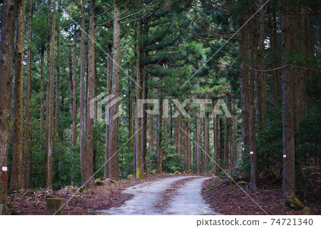 森林公路 森林公路 74721340