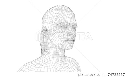 Wireframe portrait of a young beautiful girl Wireframe portrait of a young beautiful girl 74722237