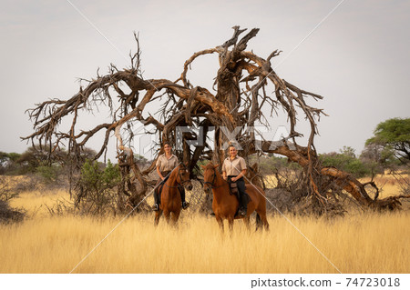 Two women on horseback alongside dead tree Two women on horseback alongside dead tree 74723018