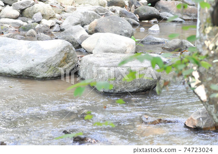 waterfall , river and rock and tree waterfall , river and rock and tree 74723024