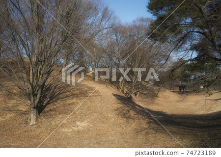 國家指定的歷史遺跡中富田子甲峰冬季風光 國家指定的歷史遺跡中富田子甲峰冬季風光 74723189