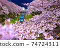 Romancecar passing through JR Yamakita Station in full bloom 74724311