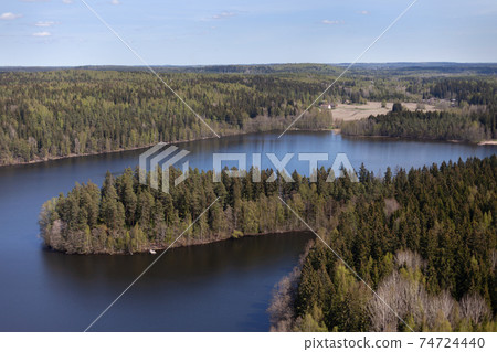 A lake surrounded by forest. Clear sky. A lake surrounded by forest. Clear sky. 74724440