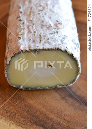 Moldy and aged goat cheese Moldy and aged goat cheese 74724894