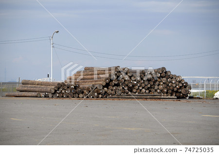 Stacked logs Stacked logs 74725035
