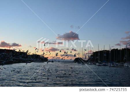 Moroiso Bay dusk sky and ship 74725735