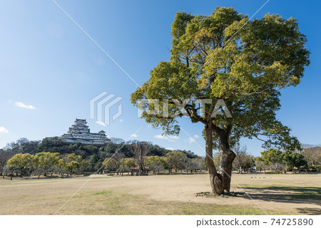 紫羅地紀念公園和姬路城 紫羅地紀念公園和姬路城 74725890