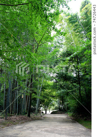 Kumamoto's resting walking course "Tatsuda Natural Park" Hosokawa family Bodaiji Taisho-ji ruins Kumamoto's resting walking course "Tatsuda Natural Park" Hosokawa family Bodaiji Taisho-ji ruins 74726443