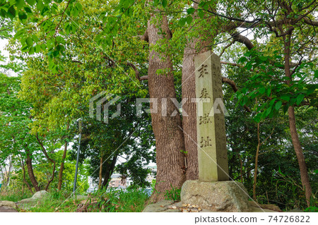 Matchmaking Forest, Shiroyama Hachimangu Shrine <Nagoya City, Aichi Prefecture> 74726822