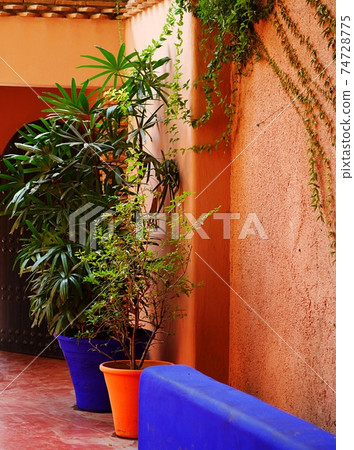Cosy oriental inner yard with colorful flower pots 74728775