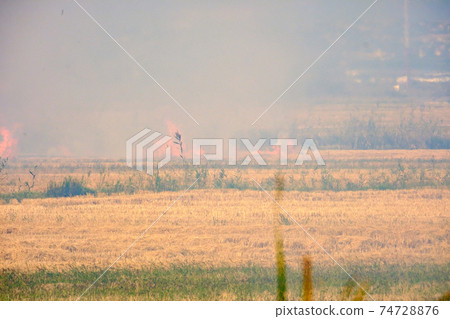 Burning of rice stubble burning straw in rice farmers Burning of rice stubble burning straw in rice farmers 74728876