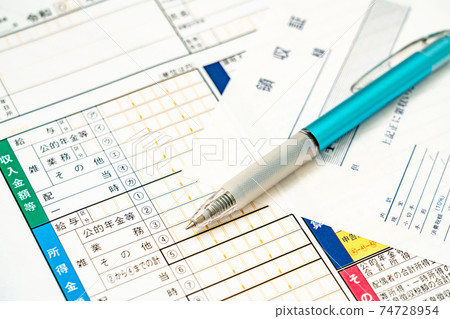 Tax return 74728954