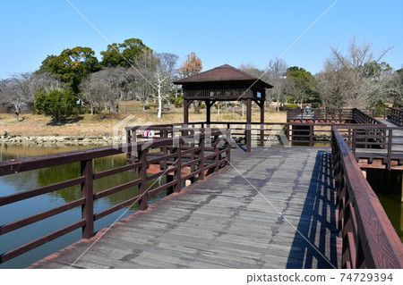 Asahi Park in winter, plum grove beginning to bloom, cherry blossoms in winter 74729394