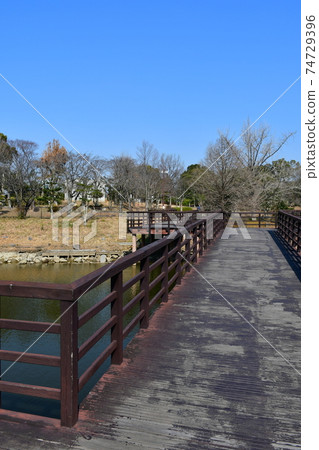 Asahi Park in winter, plum grove beginning to bloom, cherry blossoms in winter 74729396
