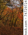 Autumn Fukiware Valley scenery 74729724