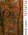 Autumn Fukiware Valley scenery 74729726