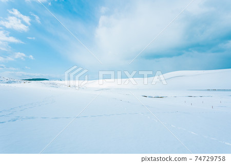 雪鳥取沙丘 雪鳥取沙丘 74729758