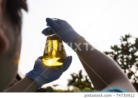 Ethanol biofuel derived from corn maze with beaker test tubes in laboratory 74730912