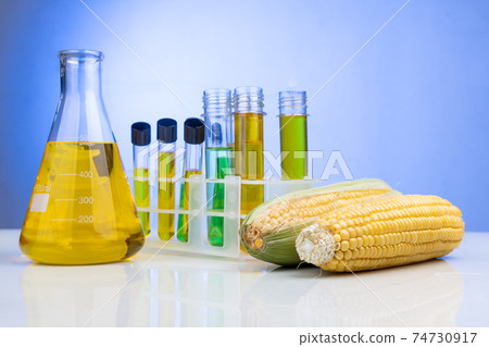 Ethanol biofuel derived from corn maze with beaker test tubes in laboratory Ethanol biofuel derived from corn maze with beaker test tubes in laboratory 74730917