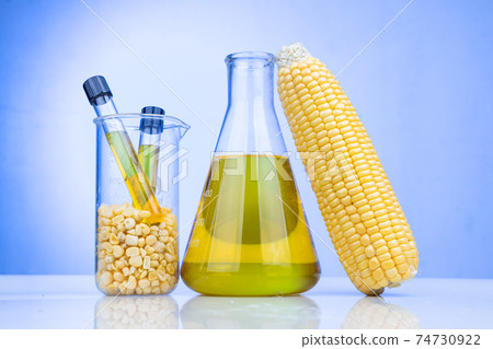 Ethanol biofuel derived from corn maze with beaker test tubes in laboratory on blue background 74730922