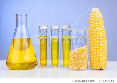 Ethanol biofuel derived from corn maze with beaker test tubes in laboratory 74730935