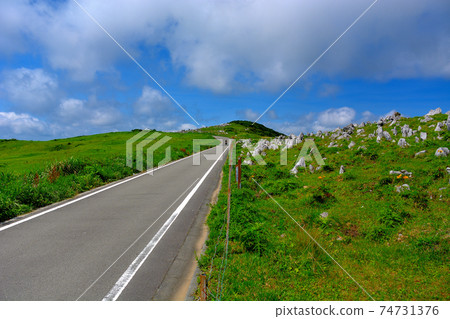 四國喀斯特·眺望藍天和白雲,在天空的道路上舒適地遊覽·天宮高原附近·愛媛縣·高知縣(1) 四國喀斯特·眺望藍天和白雲,在天空的道路上舒適地遊覽·天宮高原附近·愛媛縣·高知縣(1) 74731376