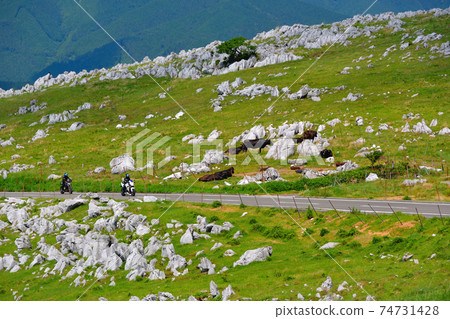 Shikoku Karst ・ Comfortable touring on the road in the sky that is fun even if you ride a motorcycle ・ Near Himezurudaira ・ Ehime prefecture ・ Kochi prefecture (1) Shikoku Karst ・ Comfortable touring on the road in the sky that is fun even if you ride a motorcycle ・ Near Himezurudaira ・ Ehime prefecture ・ Kochi prefecture (1) 74731428