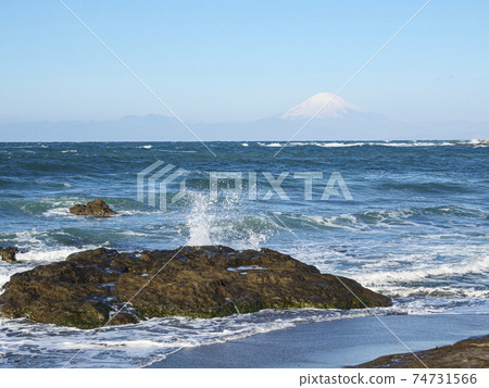Early spring in Wadanahama, Yokosuka City, Kanagawa Prefecture, on the Shonan Miura Peninsula 74731566