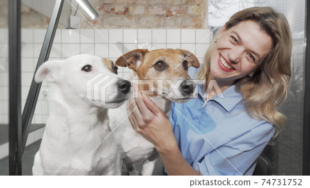 Cheerful female vet smiling to the camera while petting cute dogs 74731752